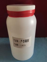 新鮮活性庫拉索蘆薈凝膠Fresh Aloe Vera Gel